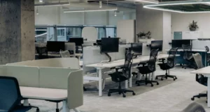 Open Floor Plans with Flexible Zones