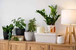 Add Greenery and Accessories