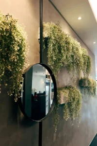 Mirrors & Reflective Surfaces
