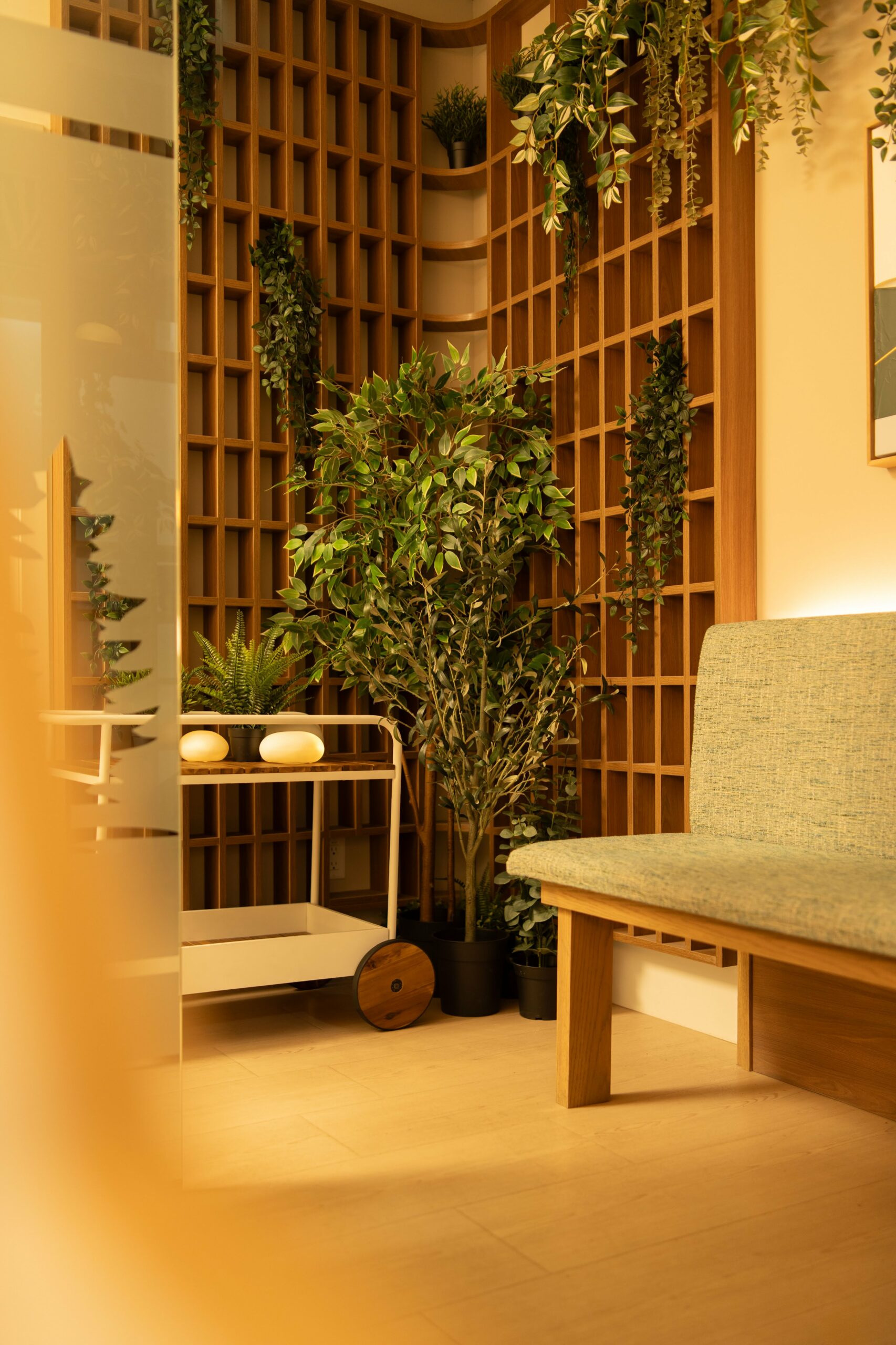 Veridian Wellness Clinic Interior Design Reception Room Healing