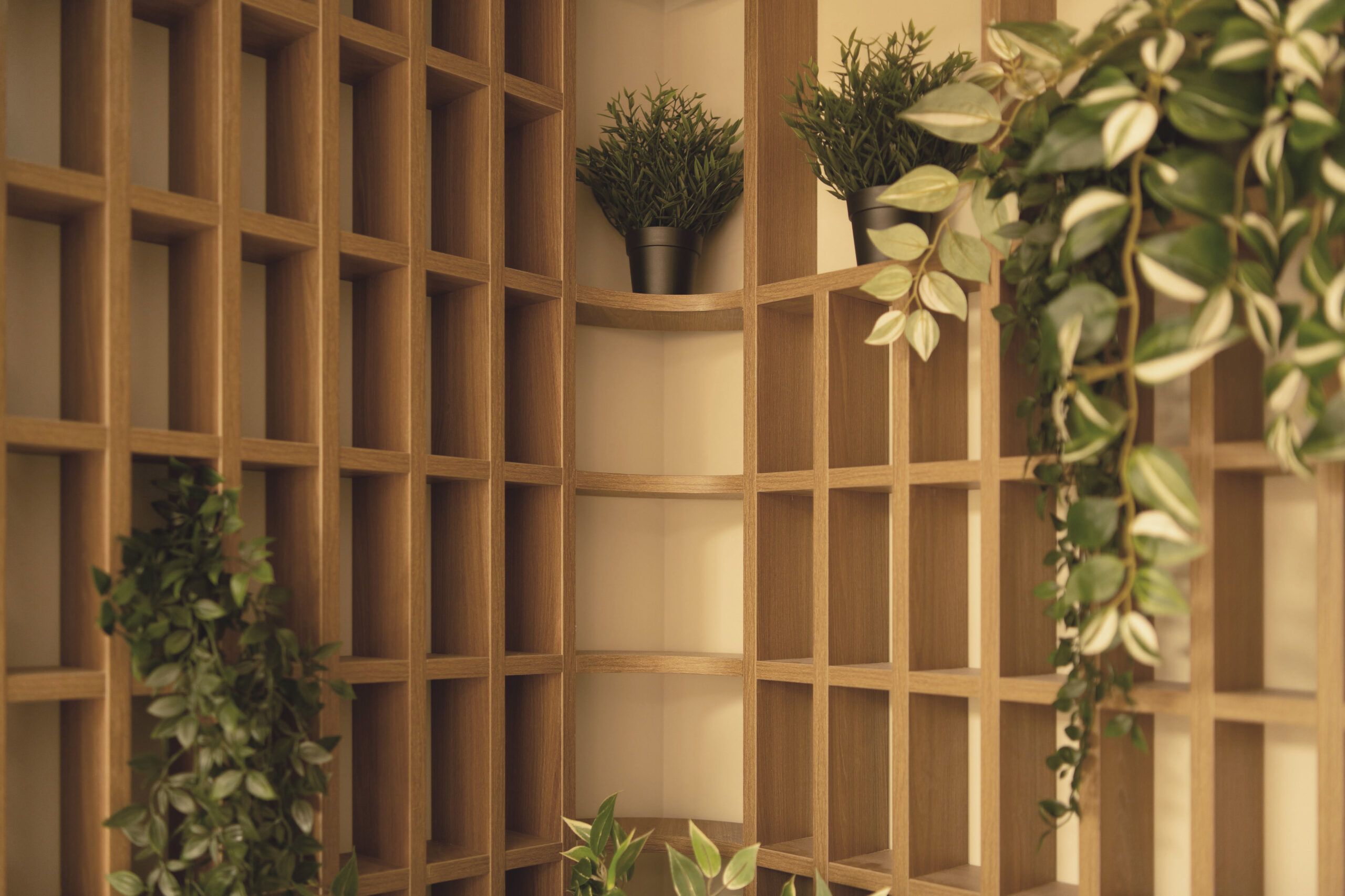 Veridian Wellness Clinic Interior Design 1