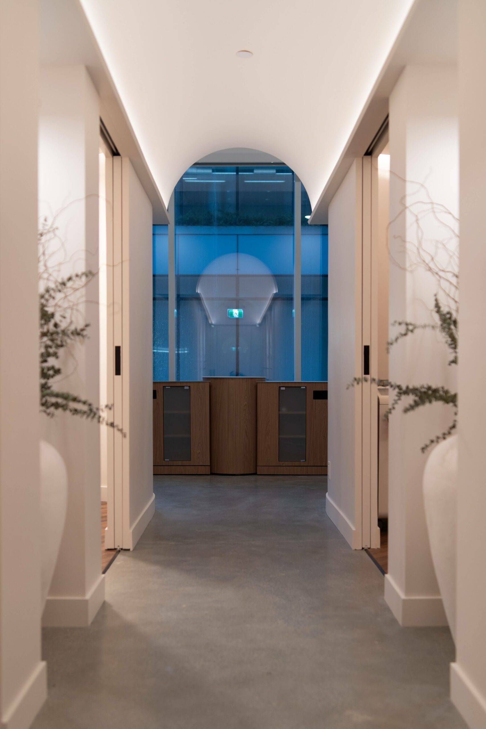 Euphora MD Interior Design hallway